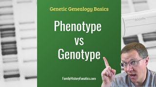 Genotype vs Phenotype Whats the Difference  Genetic Genealogy Explained [upl. by Aiak]