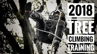 DMM Captain Hook  Tree Climbing Training  Bulldog Bone  Tree Traverse  GoPro [upl. by Atika]