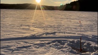 Maine ice fishing salmon and splake [upl. by Nyrahtak]