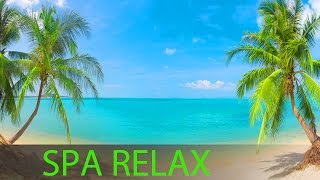 8 Hour Super Relaxing Spa Music Massage Music Background Music Relaxing Music ☯391 [upl. by Halla889]