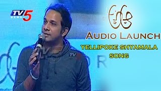 Singer Karthik Sings YELLIPOKE SHYAMALA Song  Nithin  Samantha  A Aa Audio Launch  TV5 News [upl. by Charbonnier140]