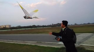 A beautiful FPV flight with an ornithopter [upl. by Rahsab]