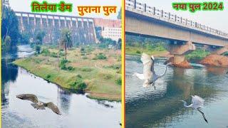 Tilaiya Dam Koderma jharkhand 2024 view  तिलैया डैम झारखंड  नया पुल तिलैया डैम का [upl. by Aneeuqahs]