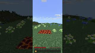 Ein leeres goldenes Herz  minecraft facts gaming bugs mc [upl. by Yelhak12]