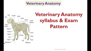 Syllabus of veterinary anatomy BVSc amp AHexam pattern first year BVSc and AH [upl. by Kursh]