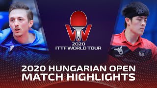 Liam Pitchford vs Qiu Dang  2020 ITTF Hungarian Open Highlights R16 [upl. by Nawiat]