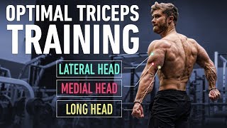 How To Build Huge Triceps with Optimal Training Technique [upl. by Noruq]