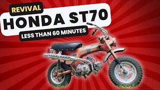 Reviving the Honda ST70 Complete Build in Under 60 Minutes [upl. by Secrest]