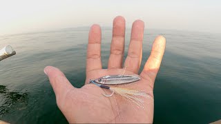 How do fish respond when tungsten 40 grams moves in the water [upl. by Golding469]