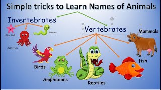 Animal Classifications Types of animals Science video Vertebrates vs invertebrates Biodiversity [upl. by Tirrej]