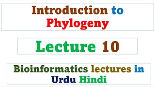 Introduction to phylogeny  Bioinformatics  Lecture 10 [upl. by Nilhtac]