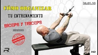 cómo organizar tu entrenamiento bíceps y triceps [upl. by Macdougall375]