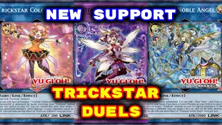 917  Yugioh  Trickstar Duels New Support 2024 Deck Download in Description [upl. by Aittam131]