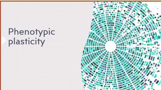 phenotypic plasticity MSc  BSc  science workshop By kusum [upl. by Maggs]