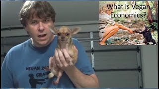 What is Vegan Economics [upl. by Xam]