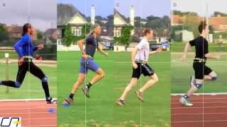 Study of Sprinters and Distance Runners Leg Action [upl. by Iglesias675]