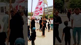 Turab Turab Alam Pak Moula Ghazi Abbas Alamdar sherabbas battleofkarbala viralshort shortvideo [upl. by Smada]