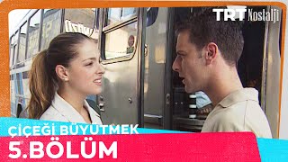 Çiçeği Büyütmek 5 Bölüm NostaljiTRT [upl. by Nnylarak963]