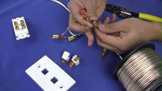 How To Install Banana Plugs and Banana Plug Wall Plates  CableWholesale [upl. by Mcgean549]