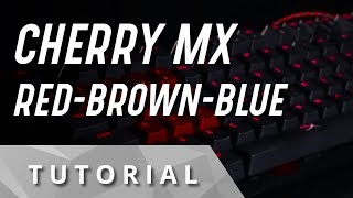 La guía definitiva Cherry MX Red vs Blue vs Brown [upl. by Nahsrad]