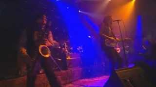 The Fuzztones  En directo en Rockpalast 10102009 [upl. by Elimac217]