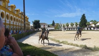 Jerez de la Frontera Spain  Andalusian Horse show museum beautiful grounds [upl. by Vito]