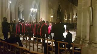 Tout lunivers est plein de sa magnificence Choeur salvé  Joie de chanter [upl. by Eeliak]