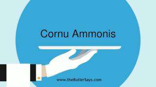 Learn how to say this word quotCornu Ammonisquot [upl. by Horten]