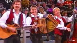 Low quality Trio Melody  Mein Heimatland Tirol Heimatmelodie 1992 [upl. by Noella]