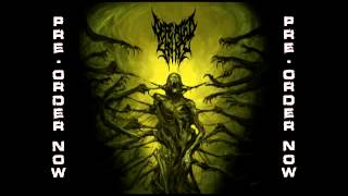 DEFEATED SANITY  Naraka New Track 2013 [upl. by Wrench]