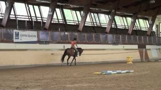 Galop 4 Varier lamplitude au trot [upl. by Nivlen]