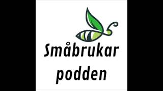 Så blir du självförsörjande på fröodling och vi har blivit med galt [upl. by Florina702]