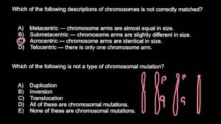 Chromosomes Metacentric Submetacentric Acrocentric Telocentric [upl. by Ransom]