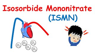 Isosorbide Mononitrate  Mechanism precautions side effects amp uses [upl. by Harrietta]