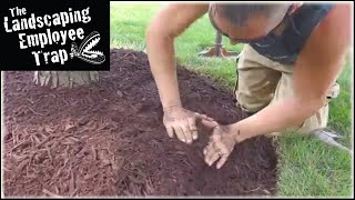 A CHALLENGE for You quotLandscape Mulch Tipsquot Episode22 [upl. by Nevil]