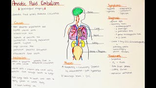 Amniotic Fluid Embolism  Causes Symptoms Diagnosis Phases Mechanism Treatment [upl. by Lashond]