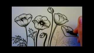 Flower Tutorial  How To Draw Flowers  Poppy Flowers [upl. by Bibbie]