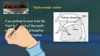 Articulatory Phonetics 3 Place of Articulation [upl. by Inobe484]