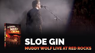 Joe Bonamassa Official  quotSloe Ginquot  Muddy Wolf at Red Rocks [upl. by Annavas]