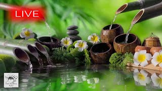 🔴 Relaxing Music 247 Stress Relief Music Meditation Spa Sleep Zen Calming Music Study Yoga [upl. by Tevlev116]