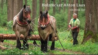 Holzrücker  Waldarbeit mit Pferden [upl. by Sivle273]