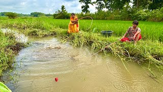 Fishing Video  Two women of the village caught some fish from the canal next to the paddy field [upl. by Seda]