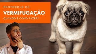 VERMIFUGAÇÃO  SAIBA COMO E QUANDO VERMIFUGAR SEU CÃO E GATO  DESVERMINAR [upl. by Ahsilrak]