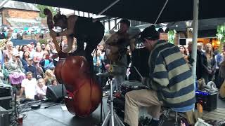 The Swamp Stomp String Band  Bunkfest 2024 [upl. by Halette406]