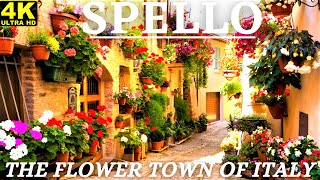 Spello  The flower town of Italy  Italy Walking Tour 4k gopro [upl. by Ametaf]