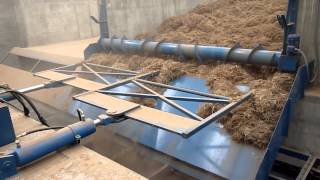 Arundo donax Moving Floor Video [upl. by Salomon]