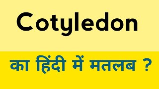 Cotyledon meaning in hindi  Cotyledon ka matlab kya hota hai  English to hindi [upl. by Kentiggerma]