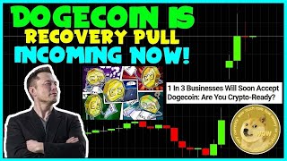 CRUCIAL NEWS FOR ALL DOGECOIN INVESTORS FAST Whales Activity Elon Musk SPACEX Cybertruck [upl. by Viridi]