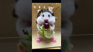 Adorable Hamster eating grape可爱鼠鼠吃葡萄hamsters cute pets animals funnyeatingeatshorts [upl. by Sheelah]