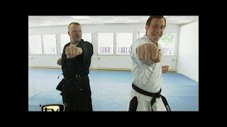 Raab in Gefahr Karate Teil 1  TV total [upl. by Ahsiener]